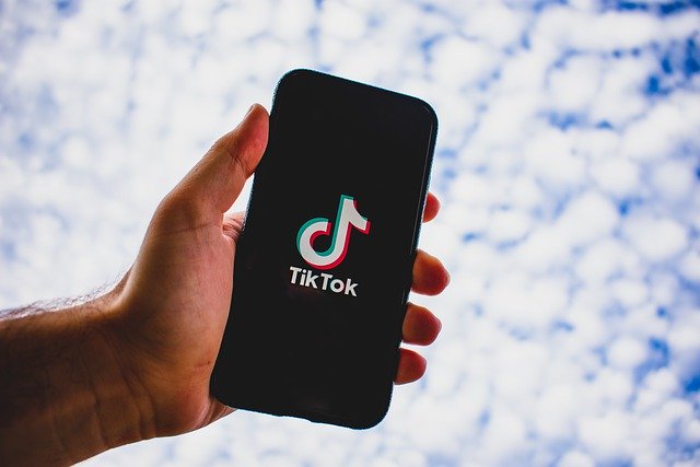 tiktok-5323005_640 【朗報】自民党、「TikTok」など中国産アプリの規制に動き出す