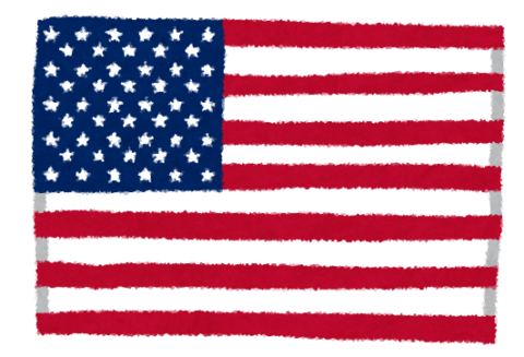 United-States-of-America-480x327 【悲報】アメリカ、4割強が独身　もう終わりだよあの国