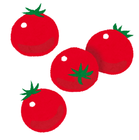 food_puchitomato-480x484 【画像】メルカリで『トマトの種』買ったんやが、荷物が破れてたから悪い評価付けたwwww