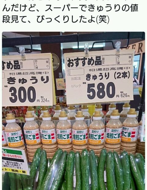 uXKgFzE-480x617 【悲報】日本人、食品値上げに限界へ　メーカー「値上げすると売れない」