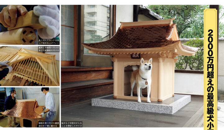 xgtLKGY-720x417 【画像】『2000万円』の犬小屋ｗｗｗｗ