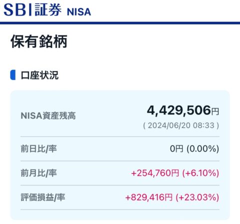 ZHLlXvW-480x448 『新NISA』ヤバすぎワロタ