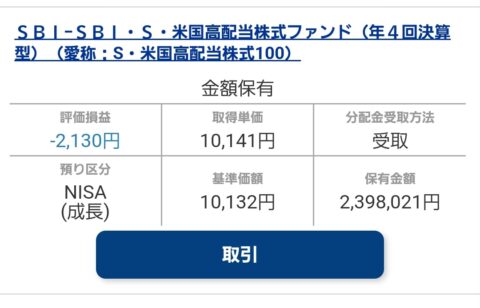 ajV8xCF-480x308 【悲報】NISA年初一括民ぼく、大暴落で死んでしまう・・・・